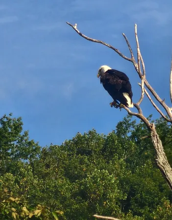 $667,900 | 6241 Highway 49 East, Springfield, TN 37172