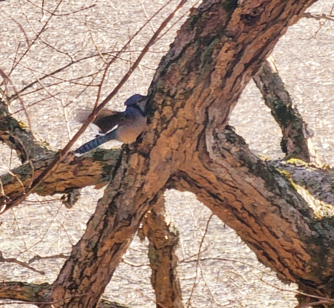 6241 Highway 49 East Springfield, TN 37172 - Photo 79 of 89