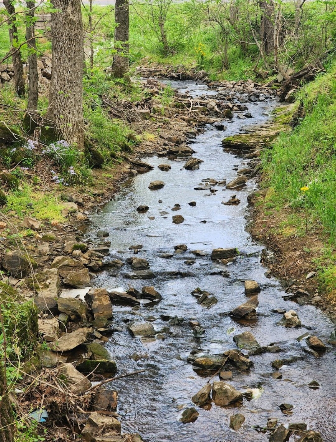 6241 Highway 49 East Springfield, TN 37172 - Photo 81 of 89