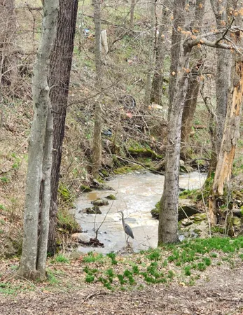 $667,900 | 6241 Highway 49 East, Springfield, TN 37172