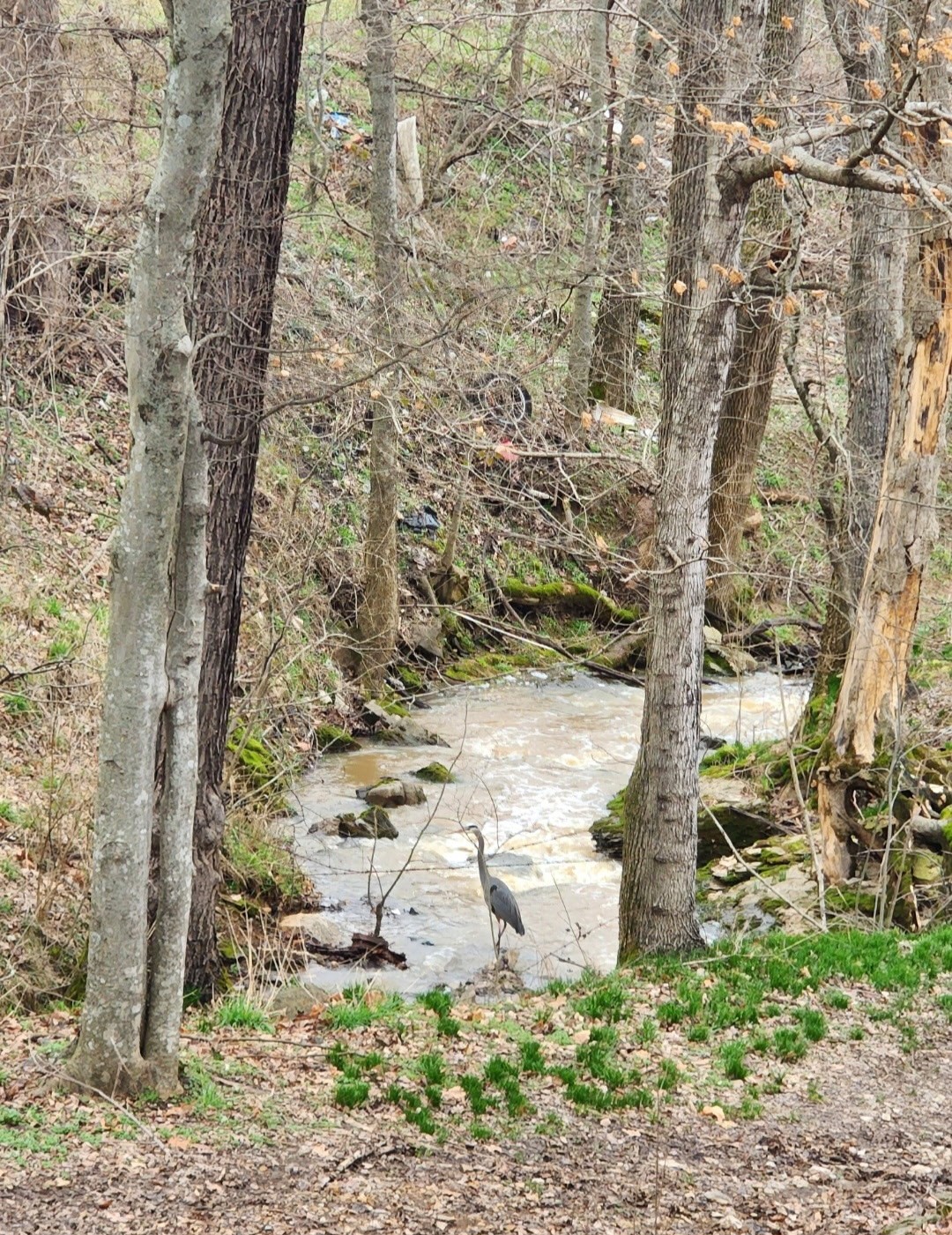 6241 Highway 49 East Springfield, TN 37172 - Photo 83 of 89