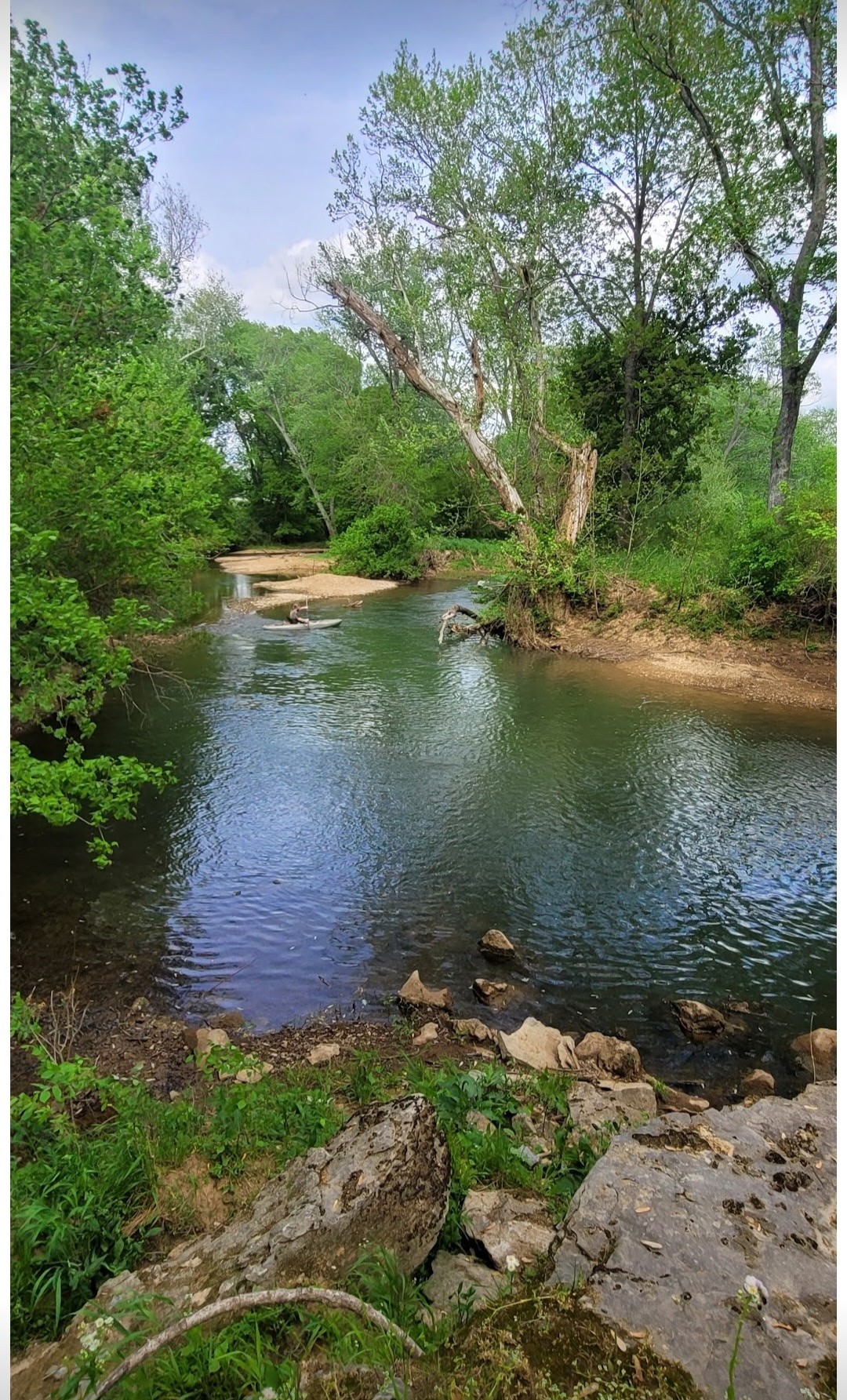 6241 Highway 49 East Springfield, TN 37172 - Photo 84 of 89