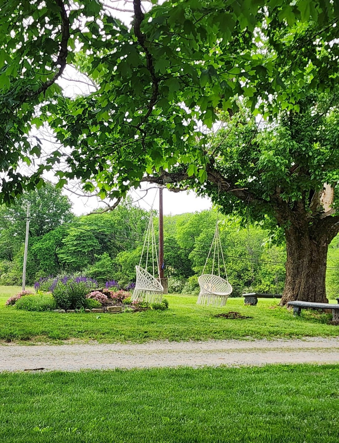 6241 Highway 49 East Springfield, TN 37172 - Photo 85 of 89