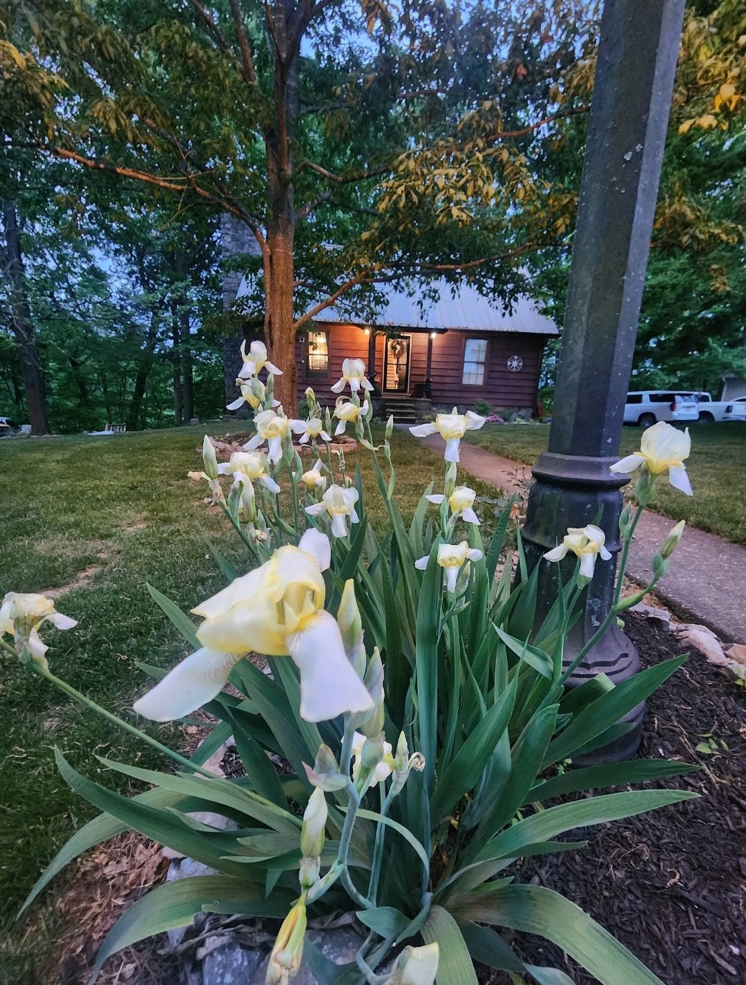 6241 Highway 49 East Springfield, TN 37172 - Photo 87 of 89