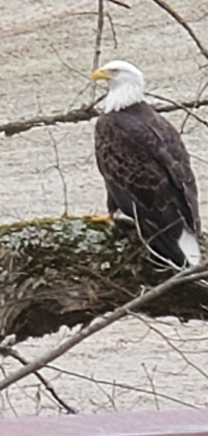 6241 Highway 49 East Springfield, TN 37172 - Photo 89 of 89