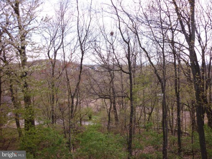 4907 Ridge Crest Court Frederick, MD 21702 - Photo 10 of 18 FANTASTIC VISTAS
