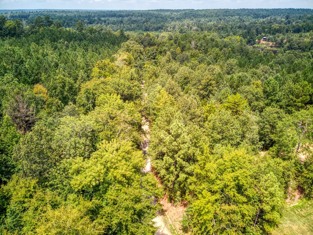 847 Briggs Road North Augusta, SC 29860 - Photo 5 of 14 Gallery Image 5