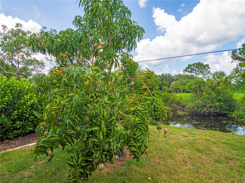 1179 George Street Sebastian, FL 32958 - Photo 17 of 19 Gallery Image 17