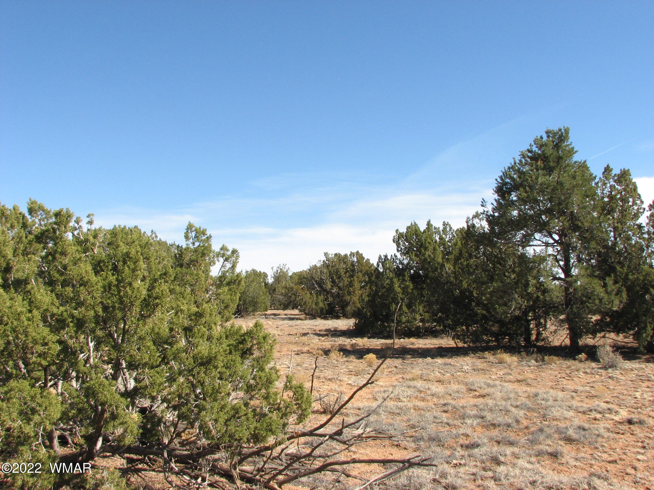 8 T14n R16e:ne4 Nw4 Heber, AZ 85928 - Photo 1 of 9