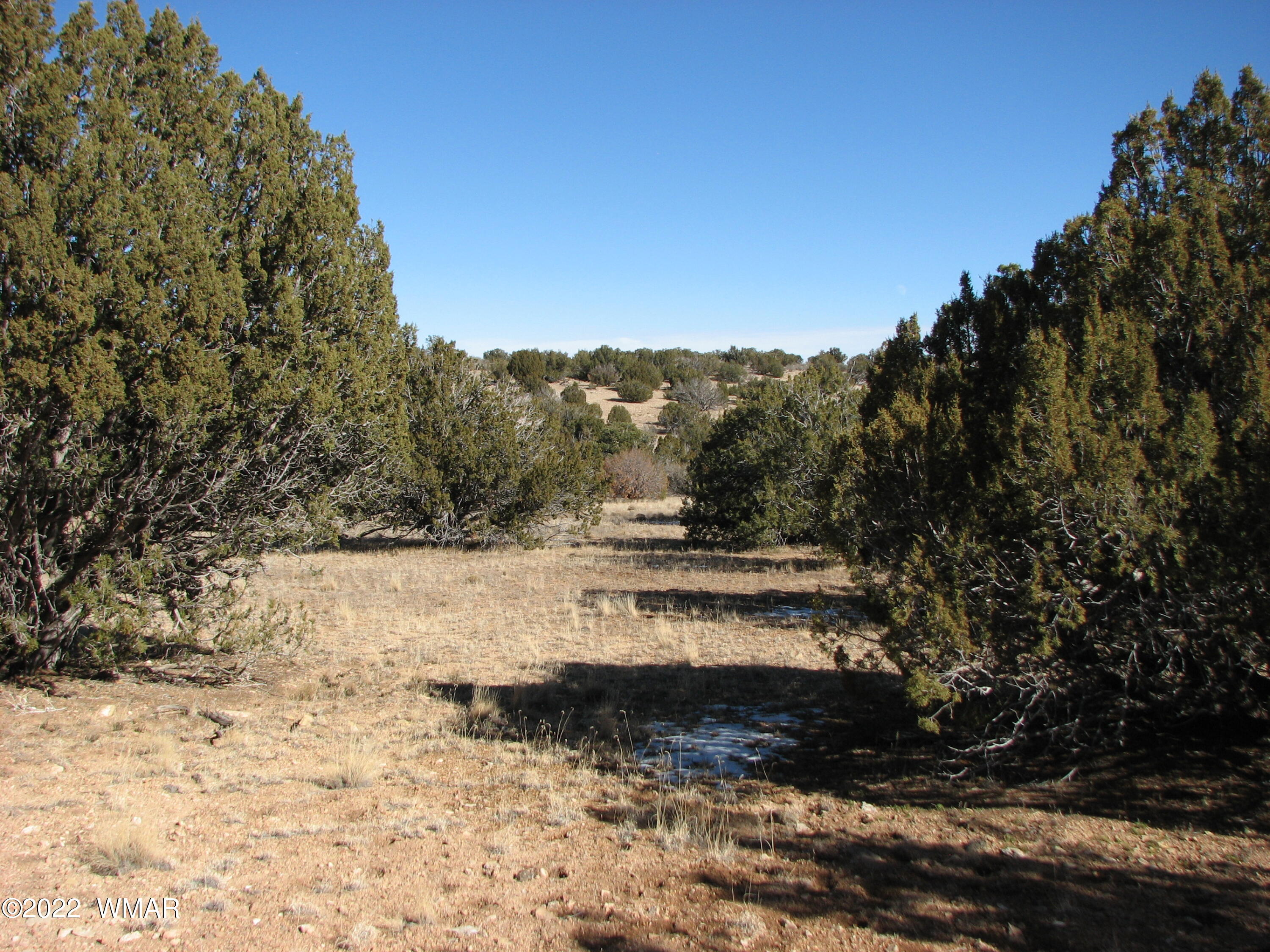 8 T14n R16e:ne4 Nw4 Heber, AZ 85928 - Photo 2 of 9