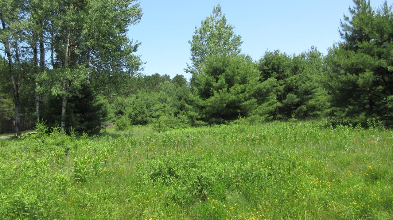 1-2 Basil Lane Rhinelander, WI 54501 - Photo 4 of 10 Gallery Image 4