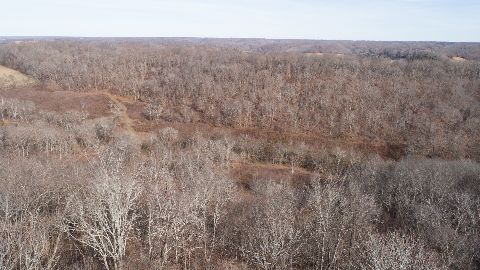 719 Minnow Branch Road Pulaski, TN 38478 - Photo 12 of 49 Gallery Image 12