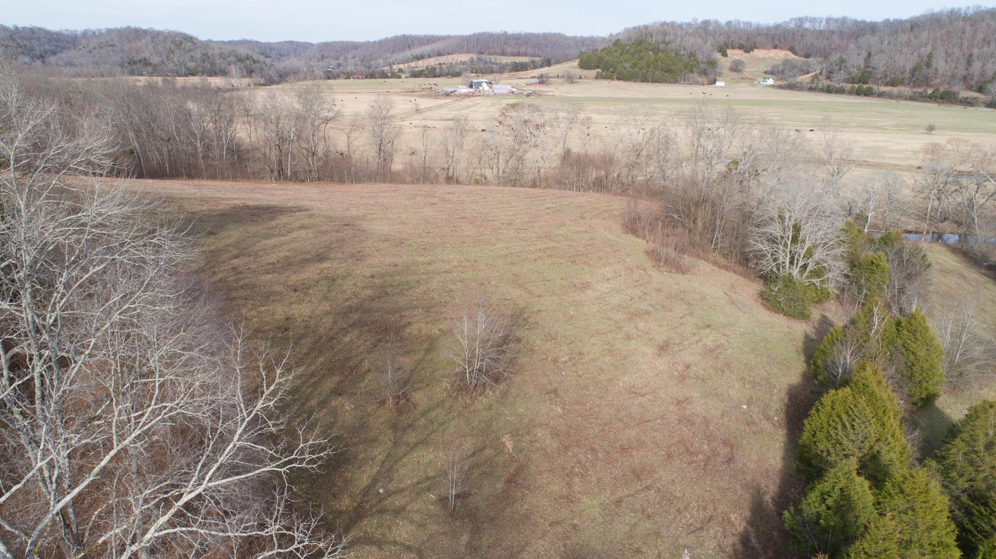 719 Minnow Branch Road Pulaski, TN 38478 - Photo 13 of 49 Gallery Image 13