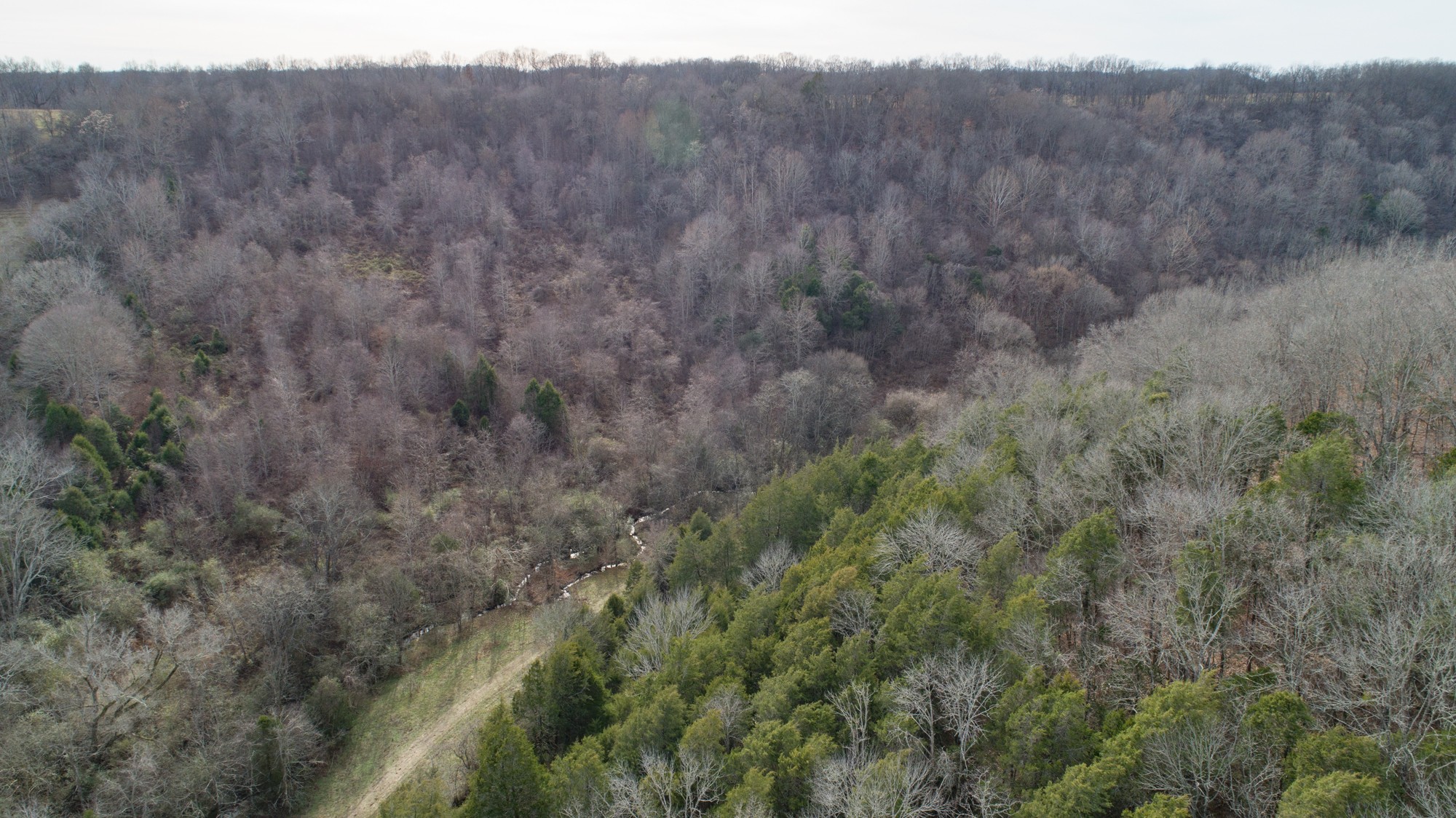 719 Minnow Branch Road Pulaski, TN 38478 - Photo 14 of 49 Gallery Image 14