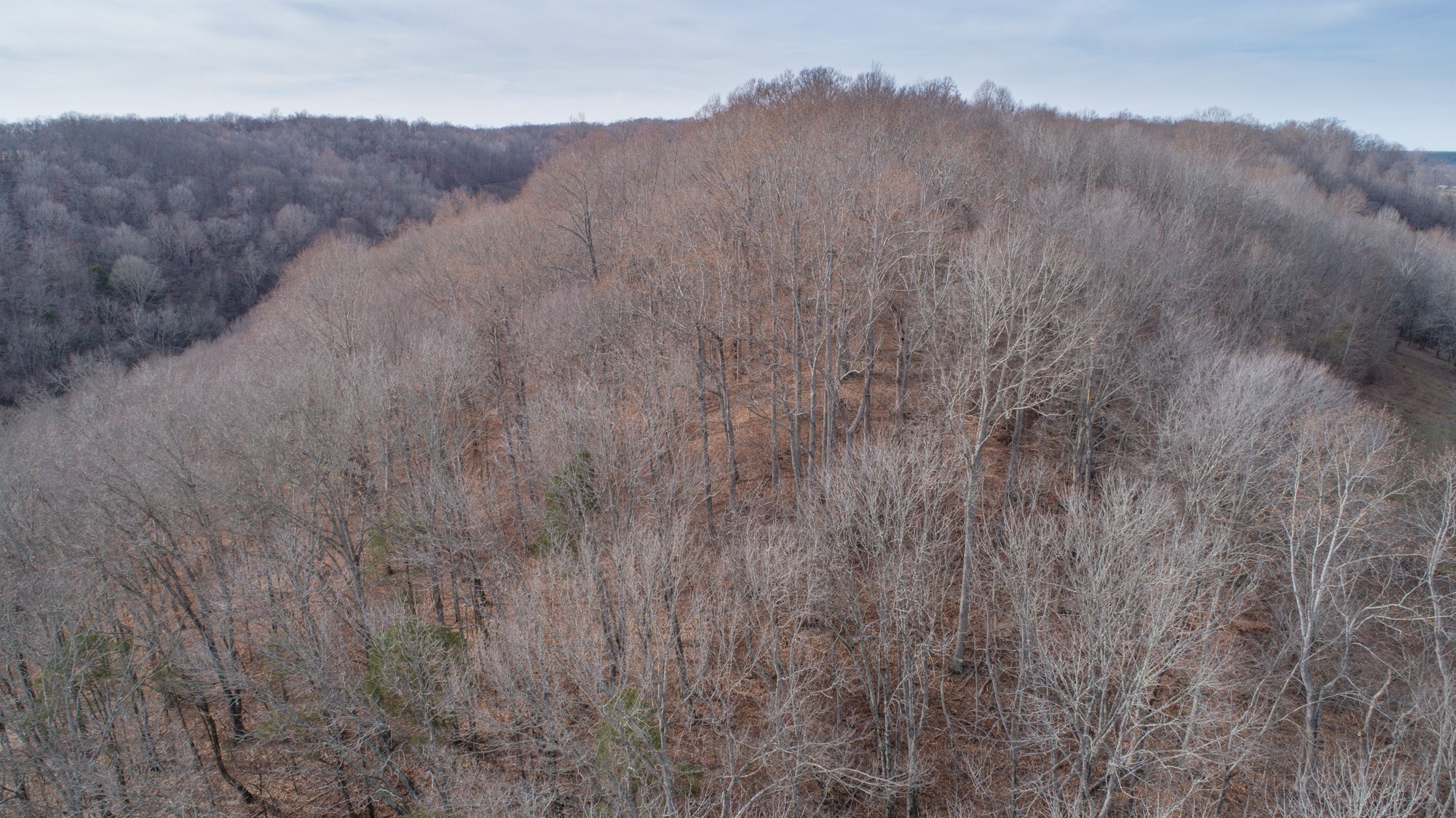 719 Minnow Branch Road Pulaski, TN 38478 - Photo 15 of 49 Gallery Image 15