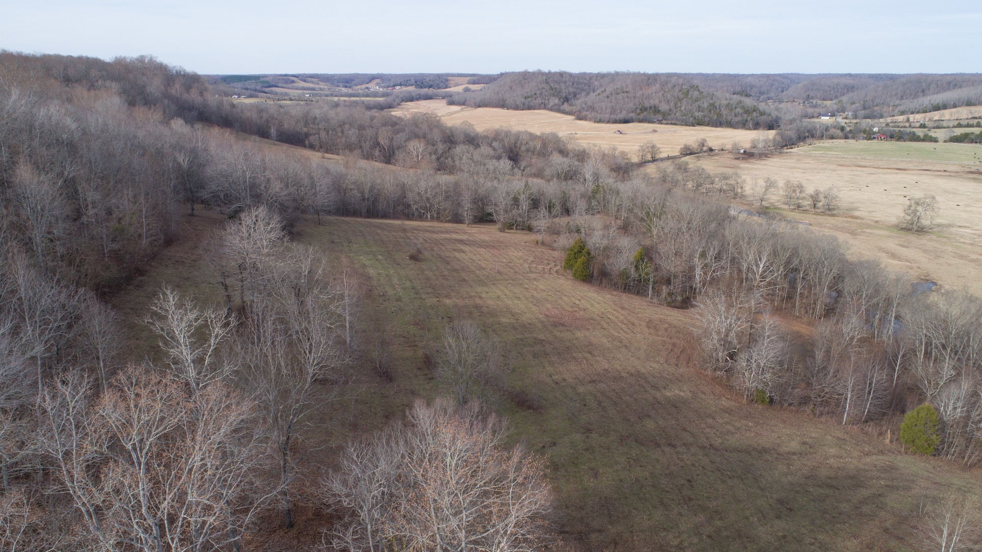 719 Minnow Branch Road Pulaski, TN 38478 - Photo 16 of 49 Gallery Image 16