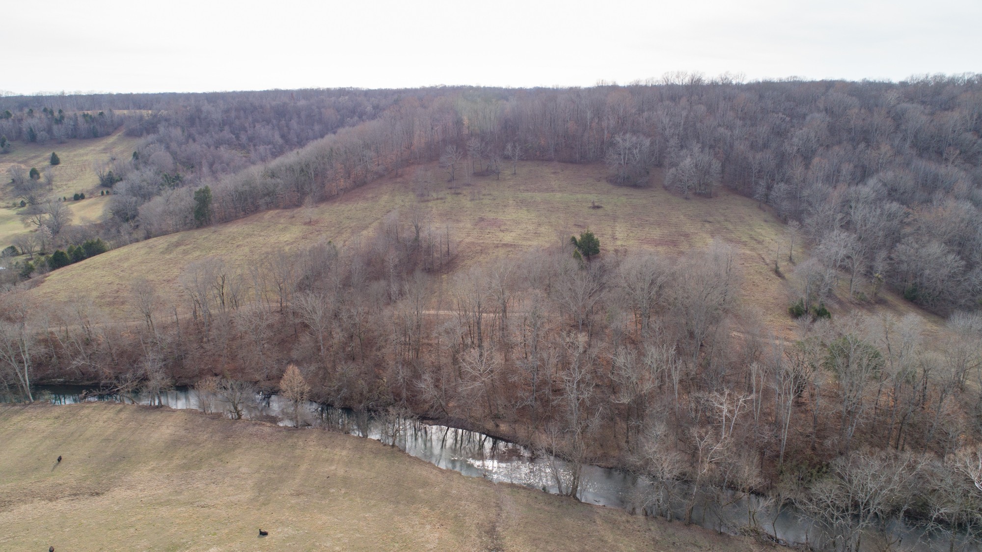 719 Minnow Branch Road Pulaski, TN 38478 - Photo 18 of 49 Gallery Image 18