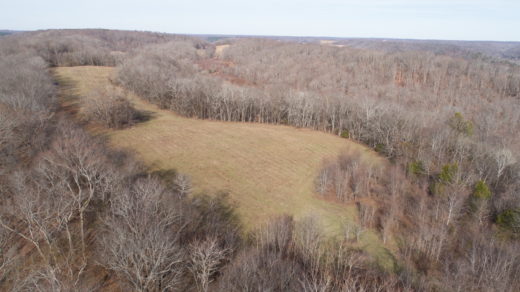 719 Minnow Branch Road Pulaski, TN 38478 - Photo 2 of 49 Gallery Image 2