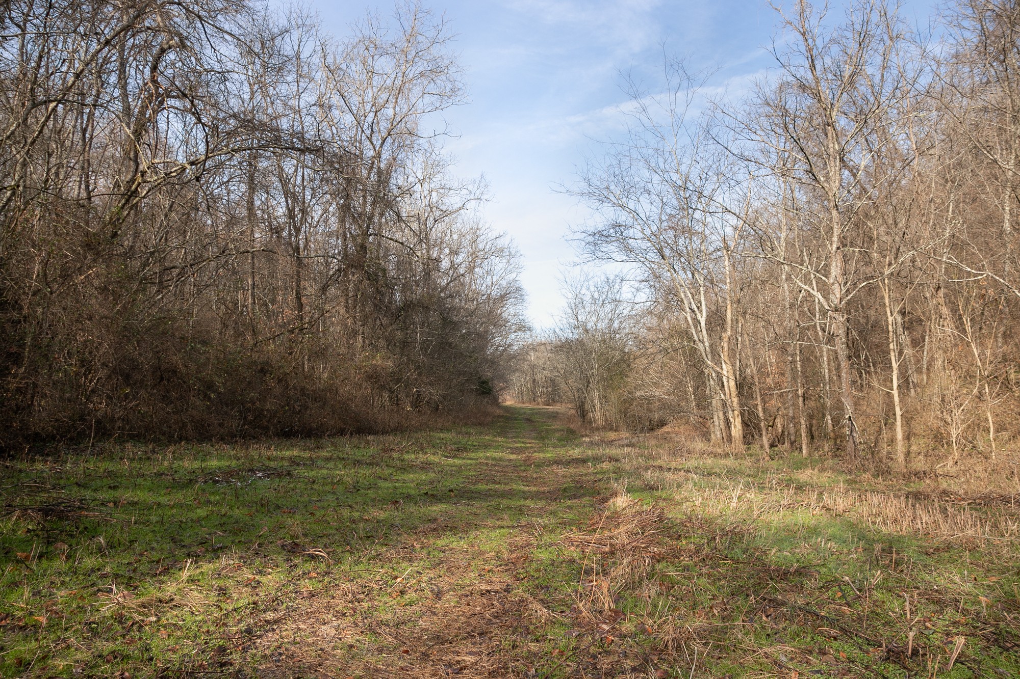 719 Minnow Branch Road Pulaski, TN 38478 - Photo 21 of 49 Gallery Image 21