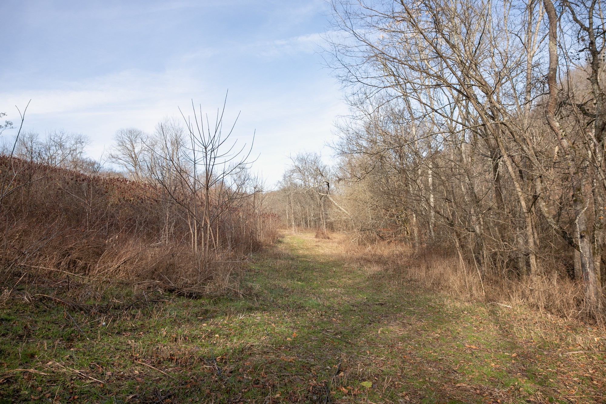 719 Minnow Branch Road Pulaski, TN 38478 - Photo 22 of 49 Gallery Image 22