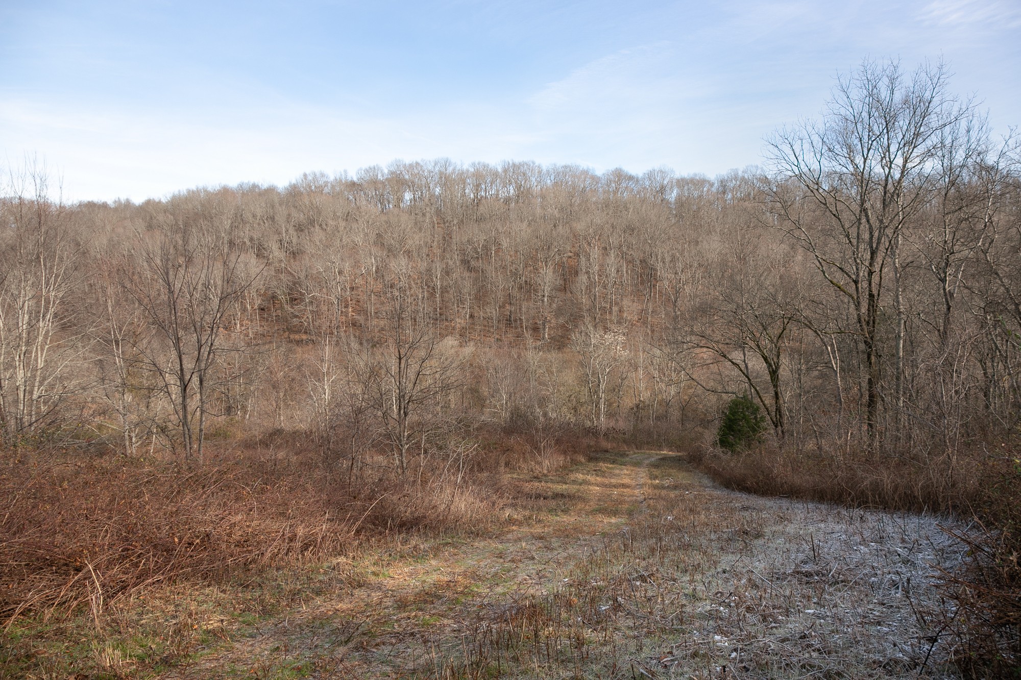 719 Minnow Branch Road Pulaski, TN 38478 - Photo 23 of 49 Gallery Image 23