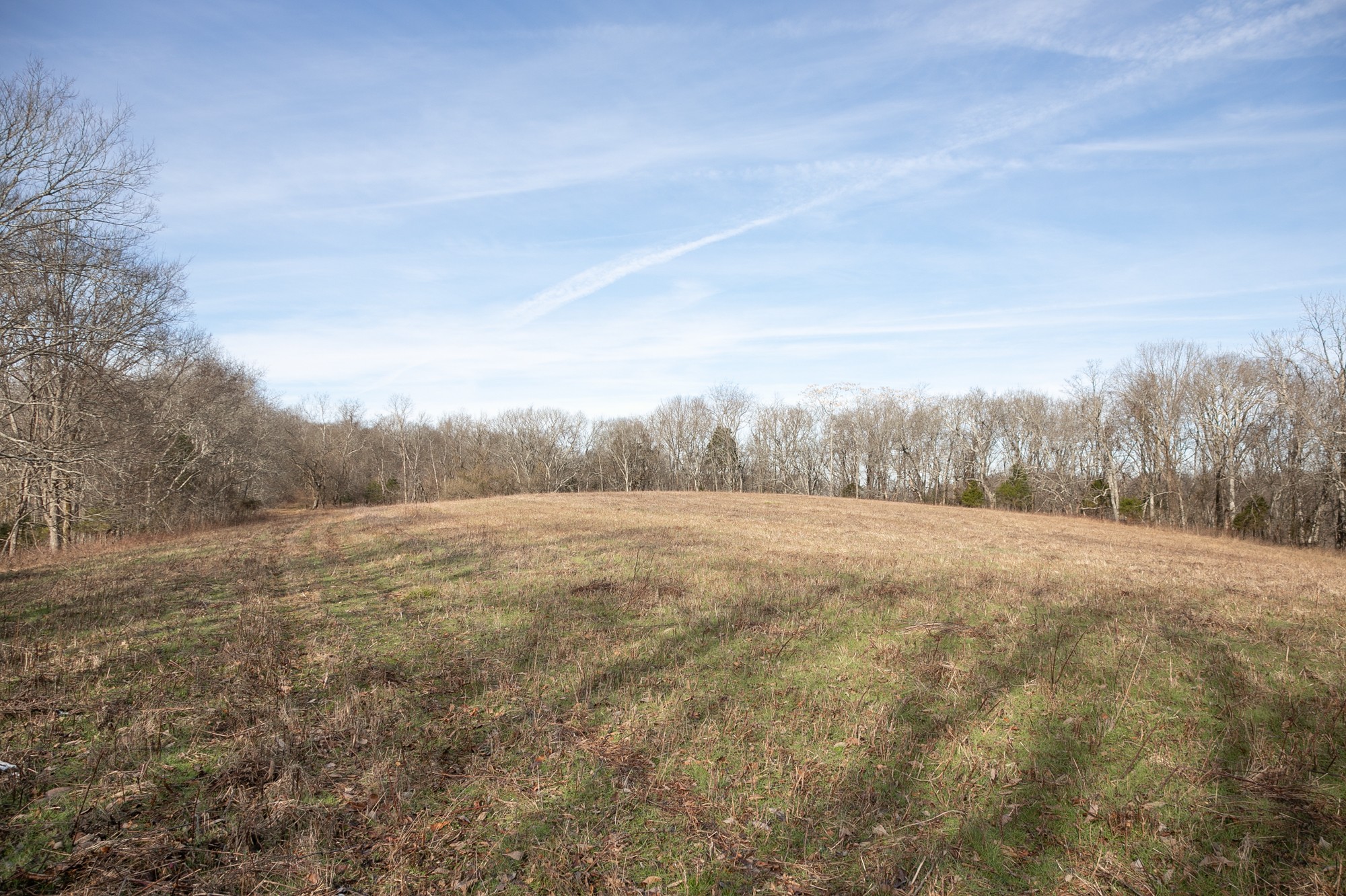 719 Minnow Branch Road Pulaski, TN 38478 - Photo 24 of 49 Gallery Image 24