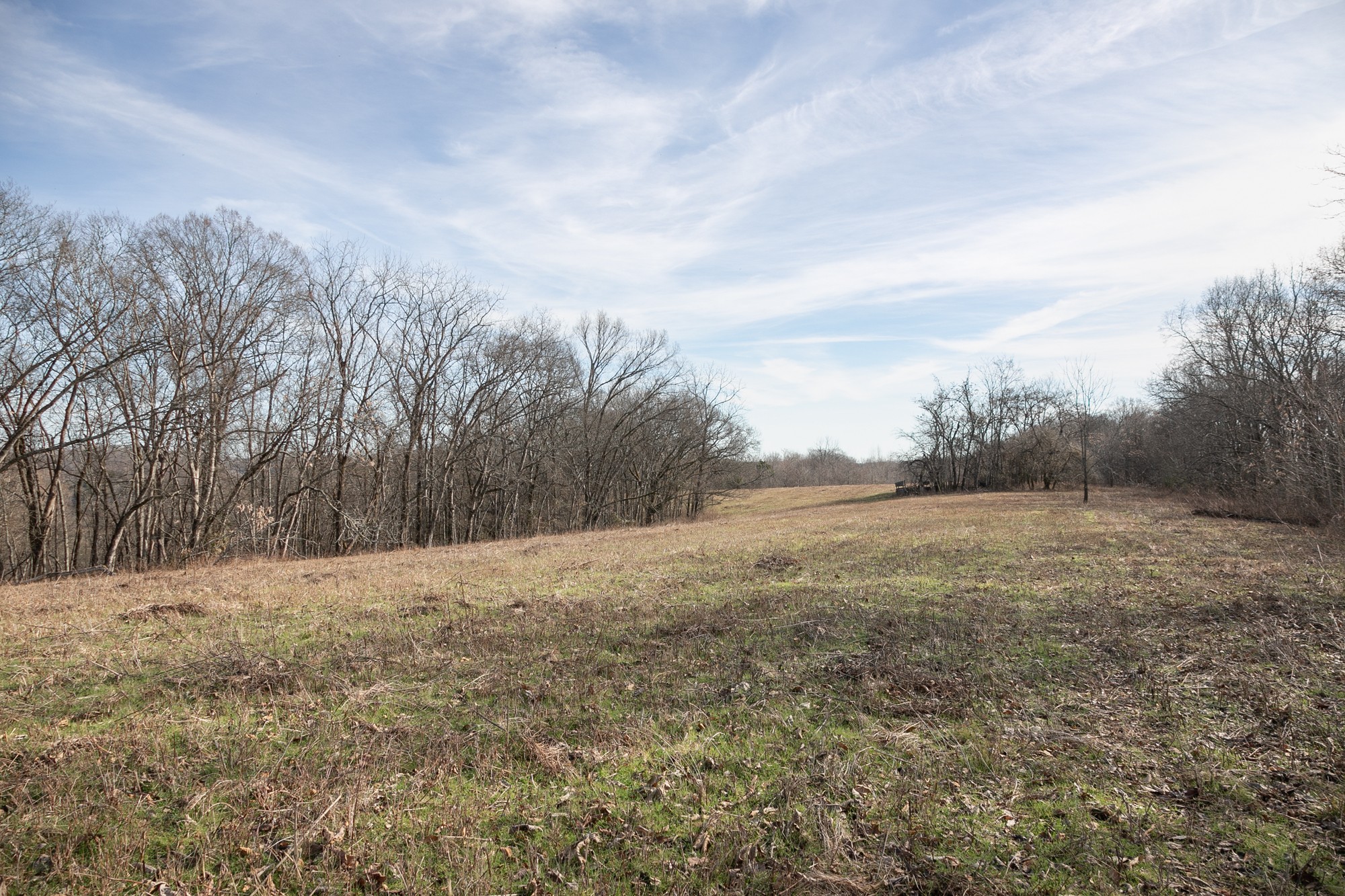 719 Minnow Branch Road Pulaski, TN 38478 - Photo 25 of 49 Gallery Image 25
