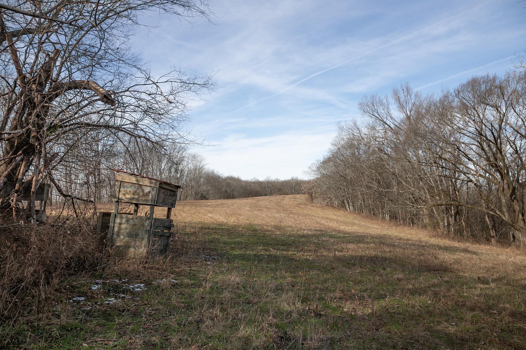 719 Minnow Branch Road Pulaski, TN 38478 - Photo 26 of 49 Gallery Image 26