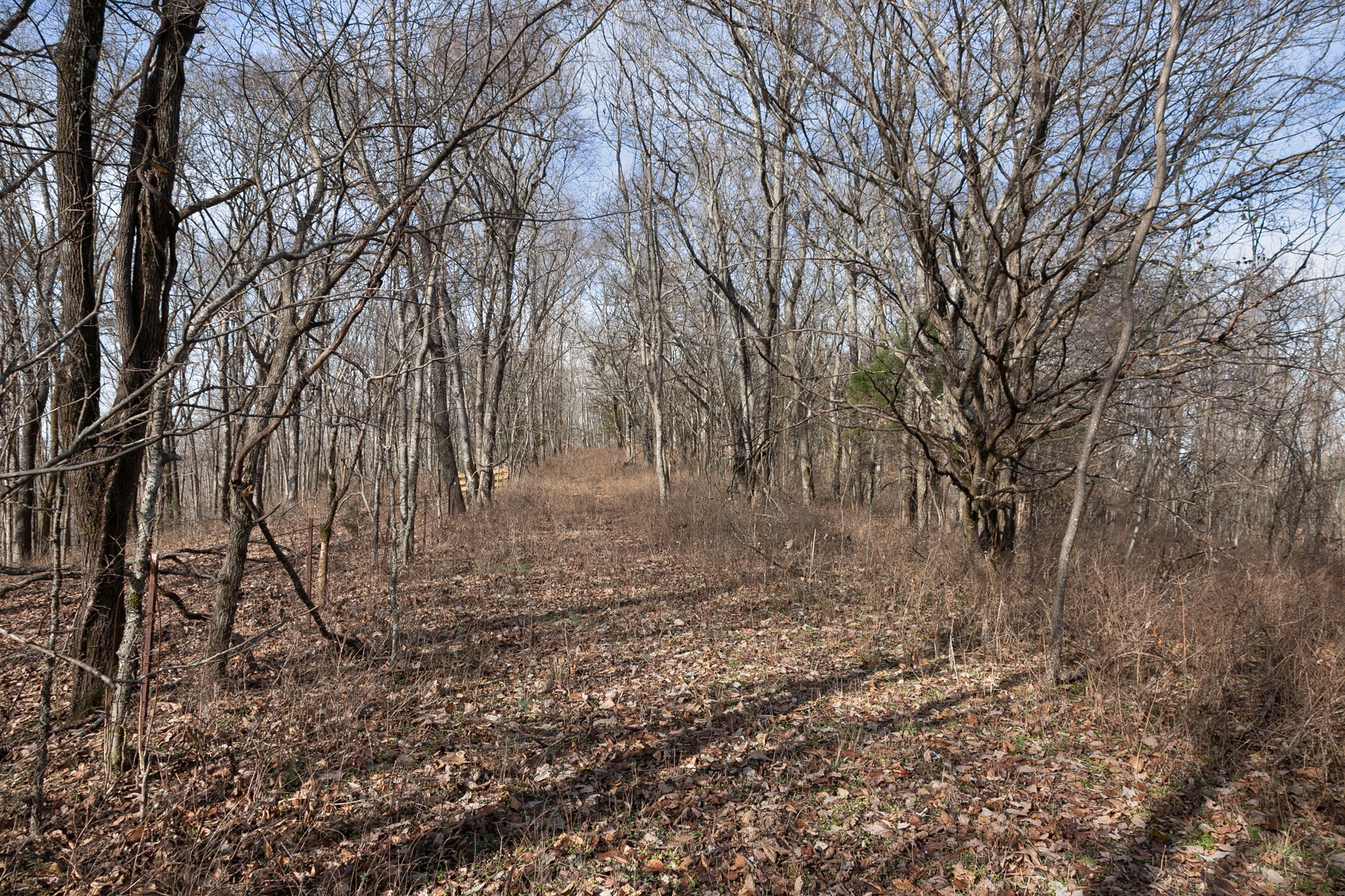 719 Minnow Branch Road Pulaski, TN 38478 - Photo 27 of 49 Gallery Image 27