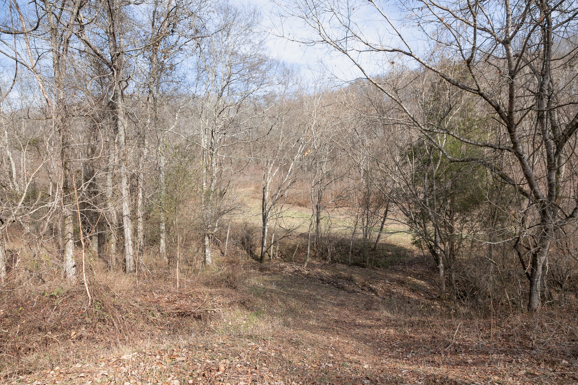 719 Minnow Branch Road Pulaski, TN 38478 - Photo 28 of 49 Gallery Image 28