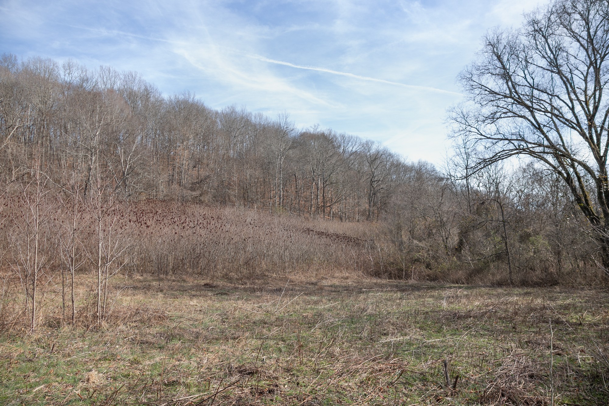719 Minnow Branch Road Pulaski, TN 38478 - Photo 29 of 49 Gallery Image 29