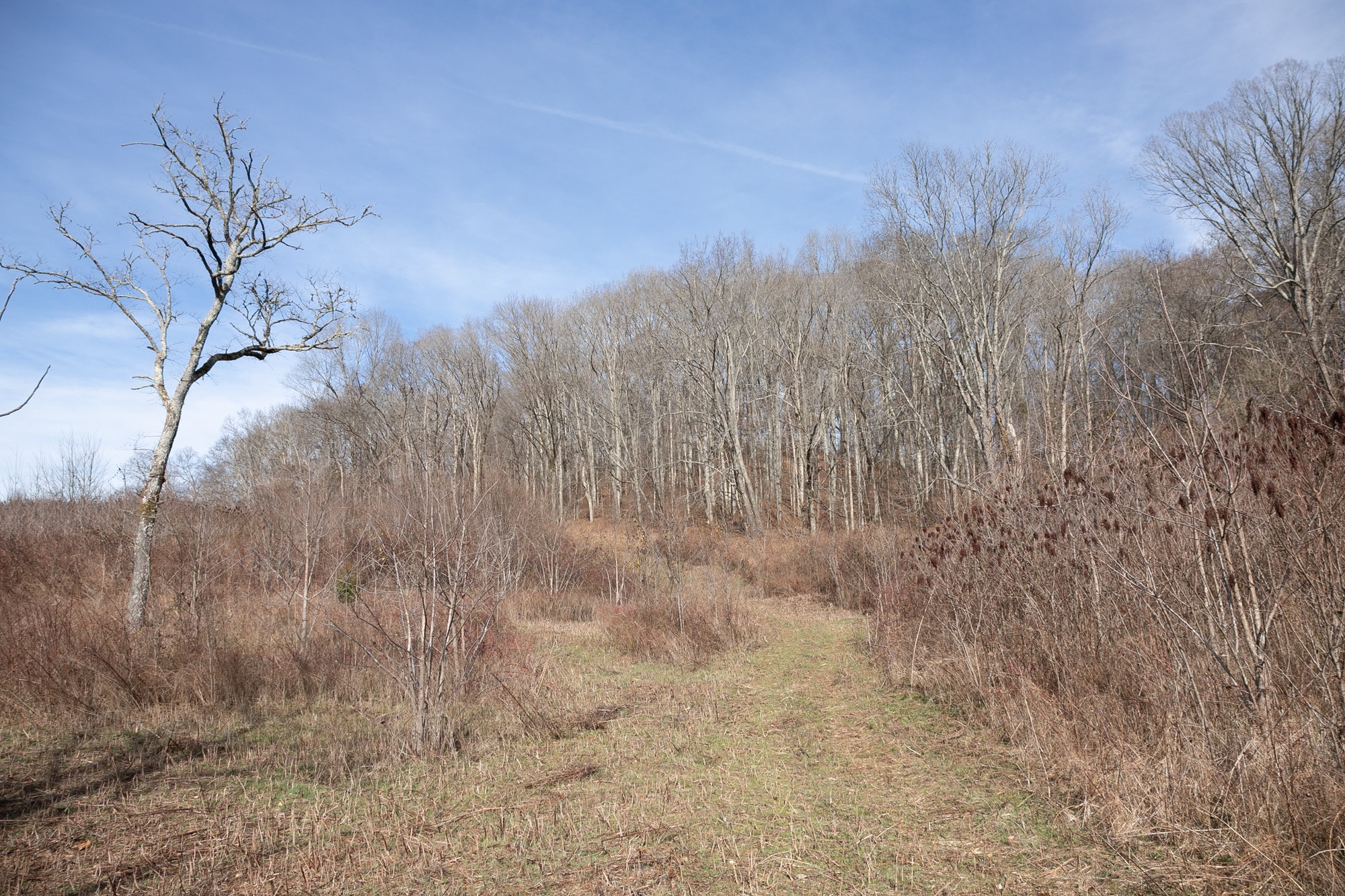 719 Minnow Branch Road Pulaski, TN 38478 - Photo 30 of 49 Gallery Image 30
