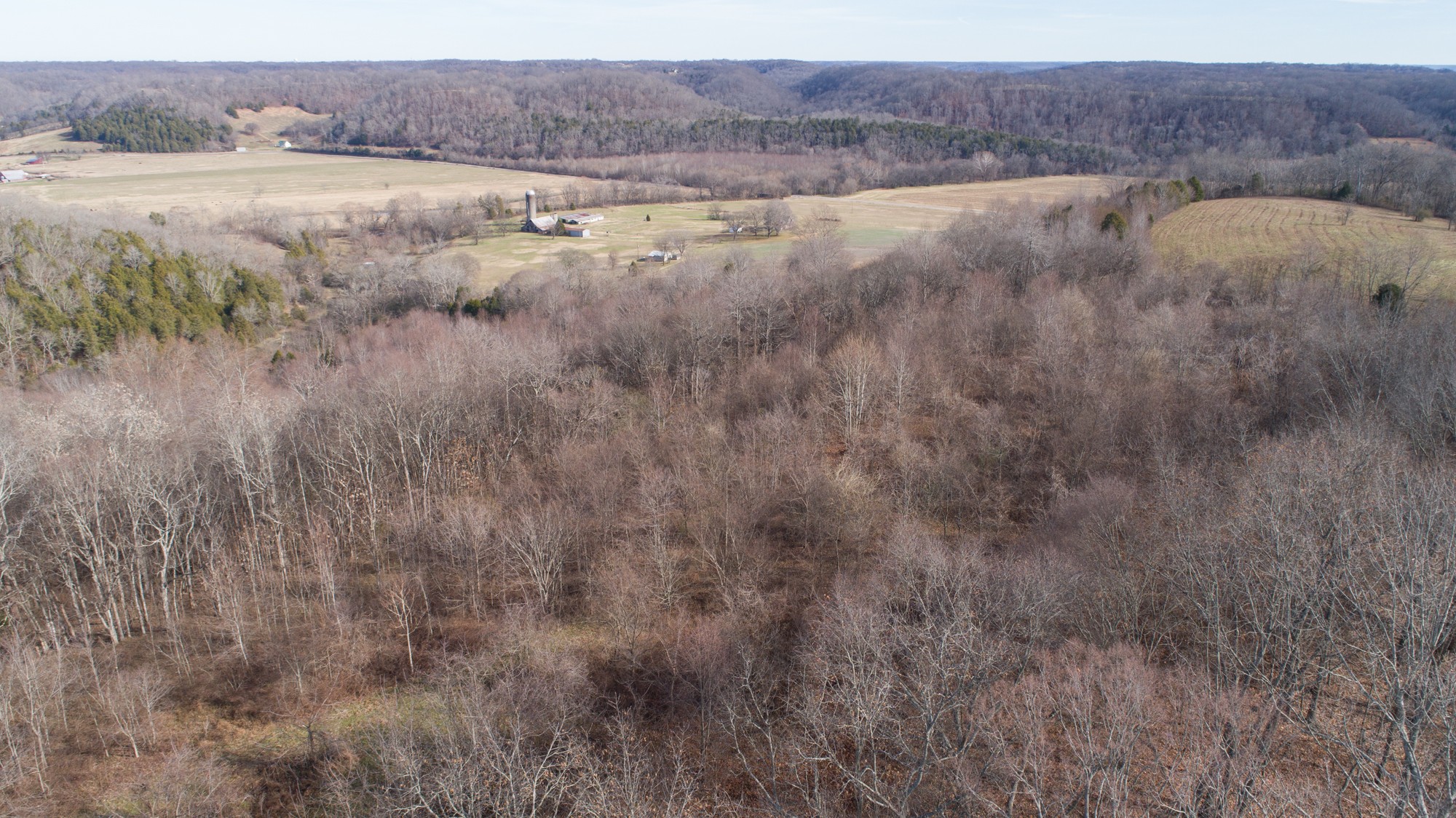 719 Minnow Branch Road Pulaski, TN 38478 - Photo 3 of 49 Gallery Image 3
