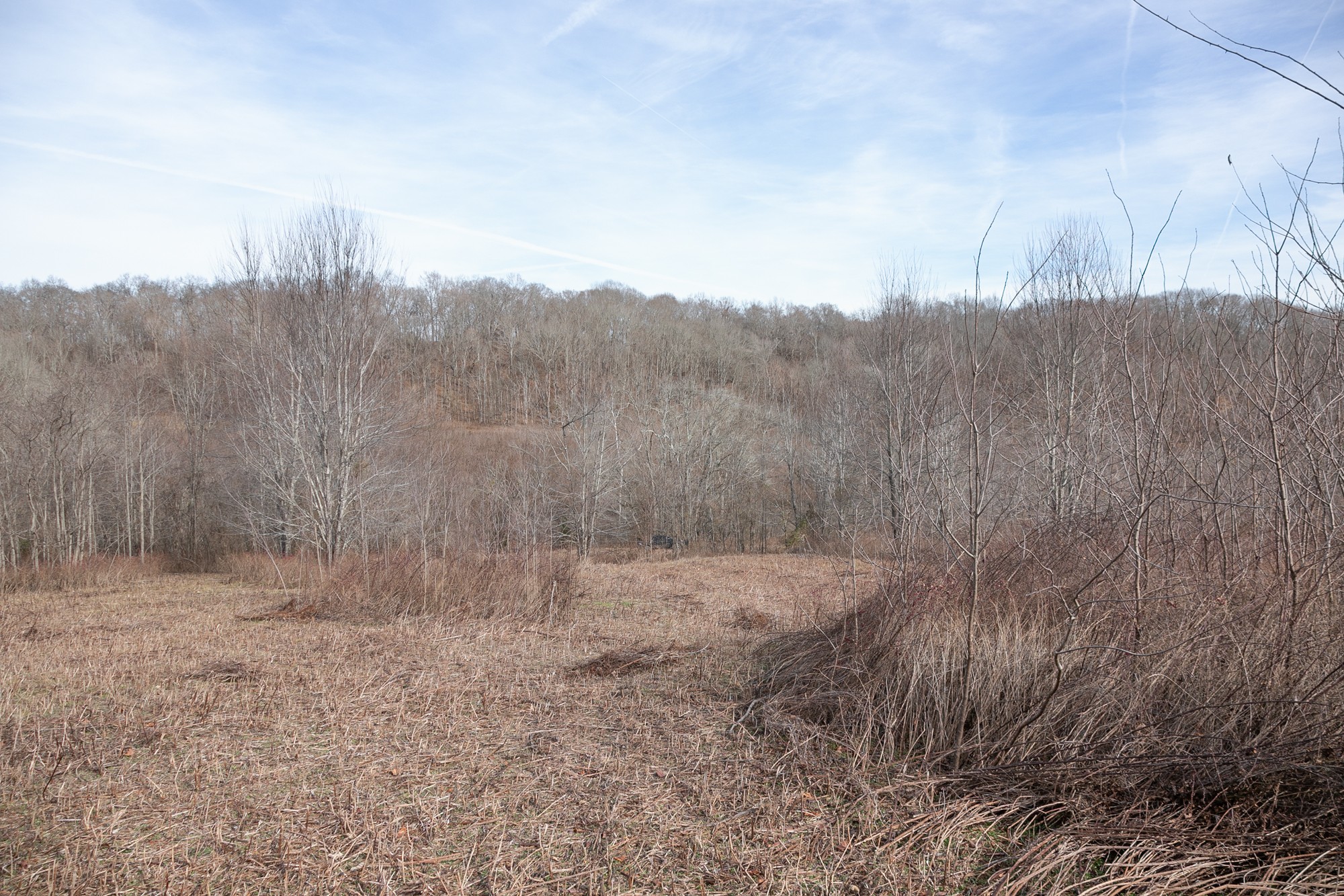 719 Minnow Branch Road Pulaski, TN 38478 - Photo 33 of 49 Gallery Image 33