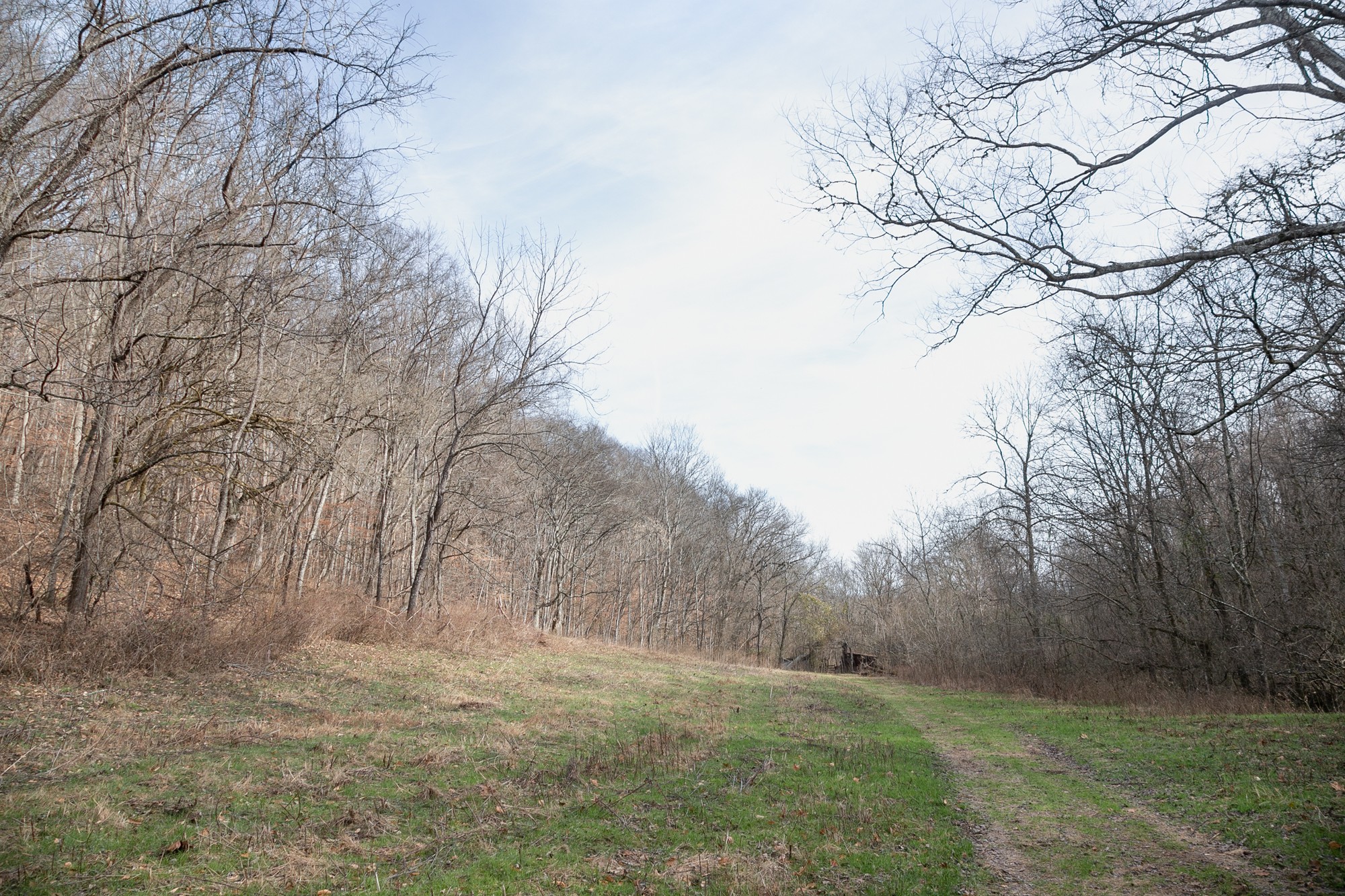 719 Minnow Branch Road Pulaski, TN 38478 - Photo 34 of 49 Gallery Image 34