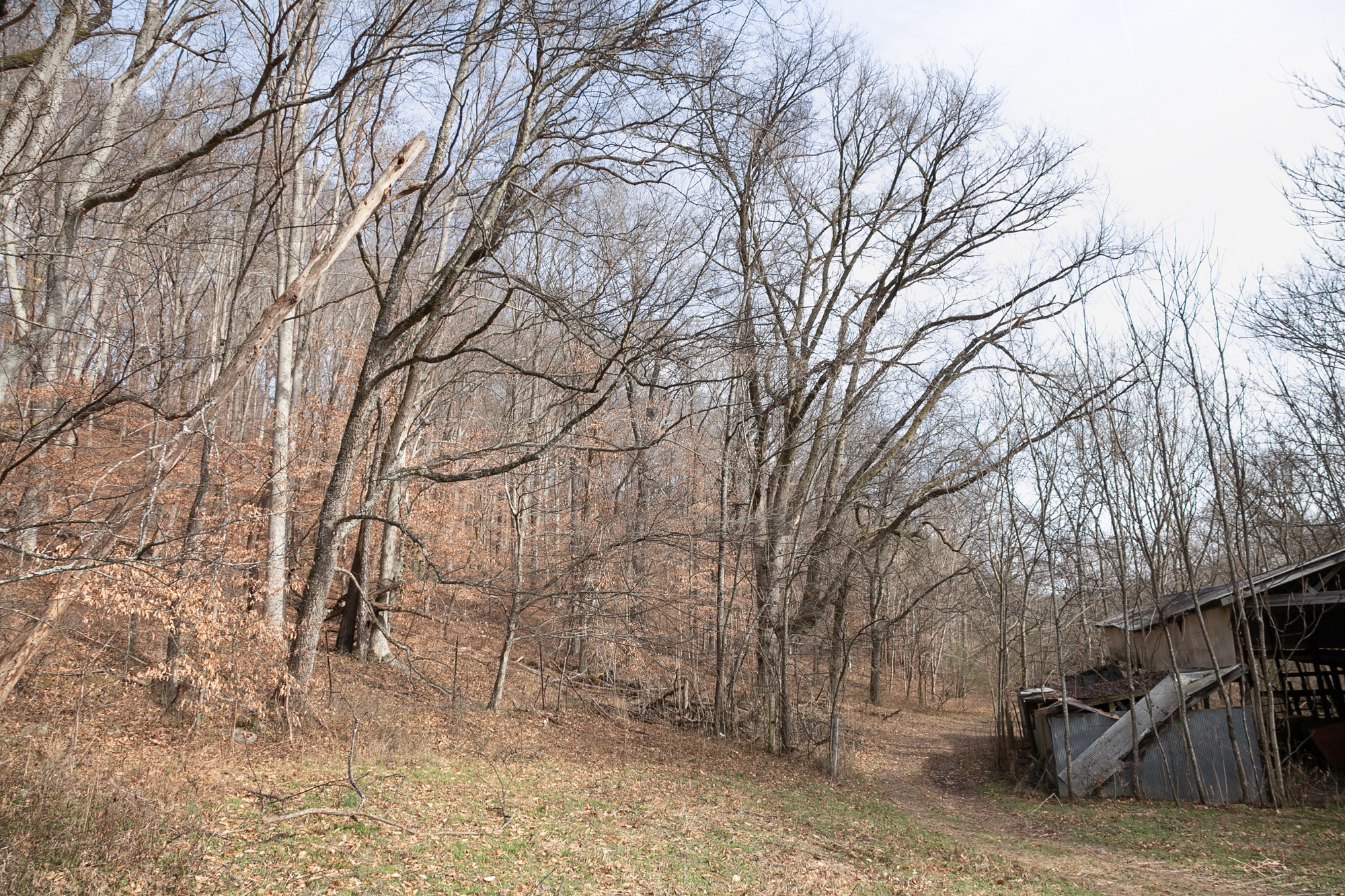 719 Minnow Branch Road Pulaski, TN 38478 - Photo 35 of 49 Gallery Image 35