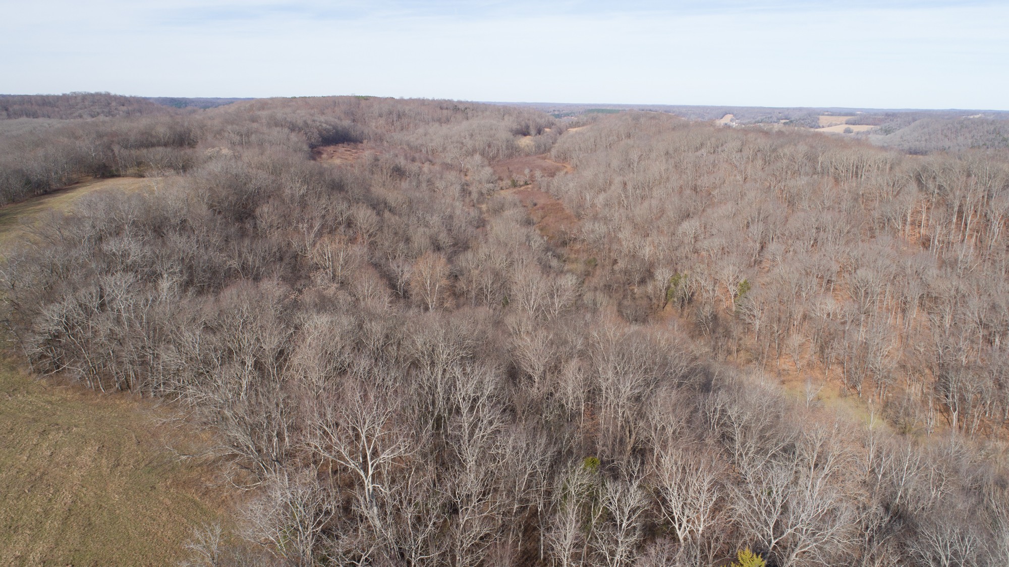 719 Minnow Branch Road Pulaski, TN 38478 - Photo 4 of 49 Gallery Image 4
