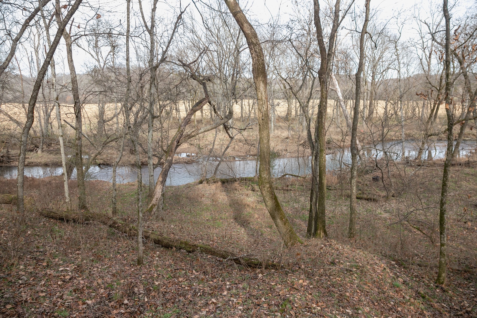 719 Minnow Branch Road Pulaski, TN 38478 - Photo 41 of 49 Gallery Image 41