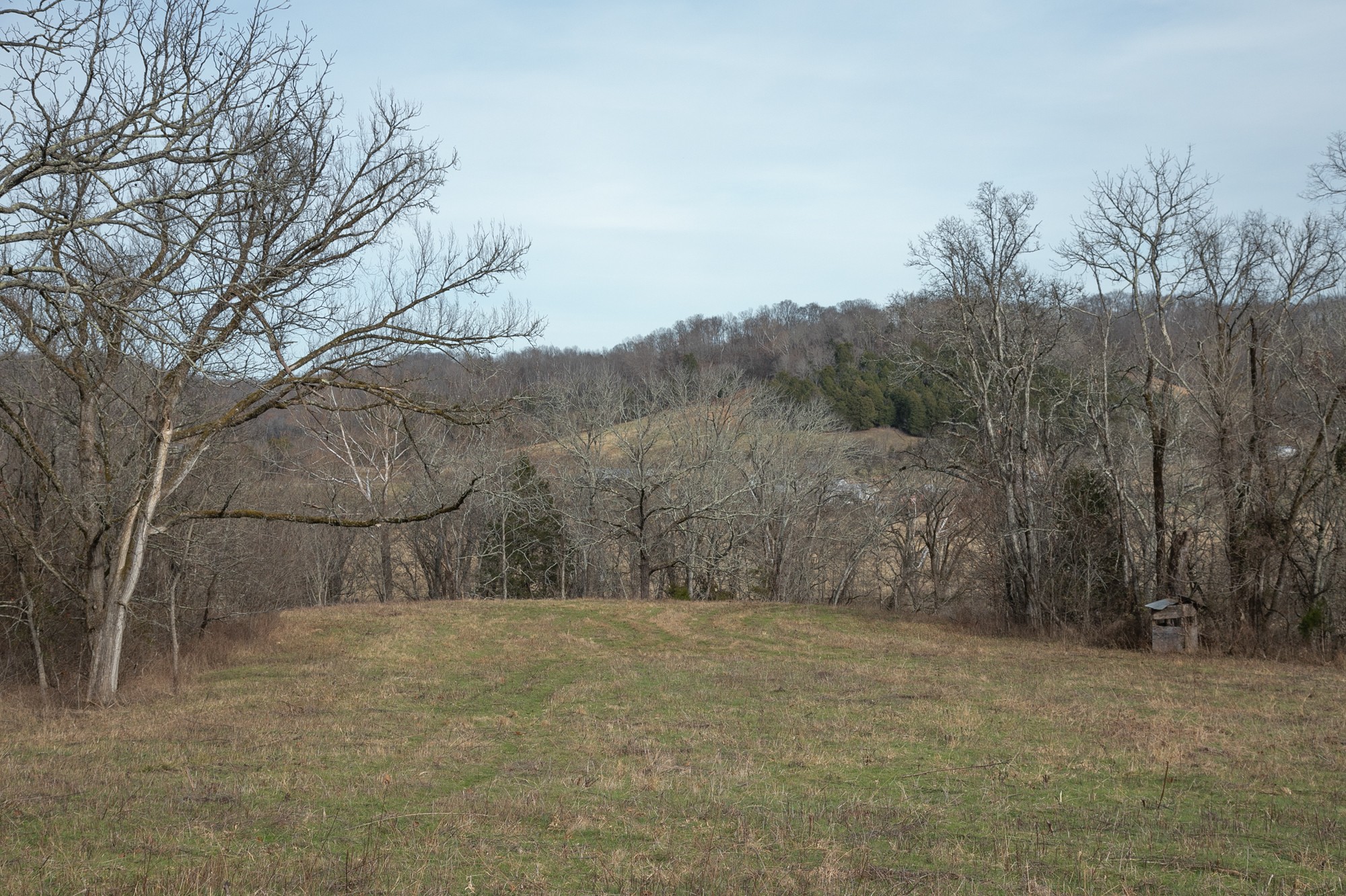 719 Minnow Branch Road Pulaski, TN 38478 - Photo 44 of 49 Gallery Image 44