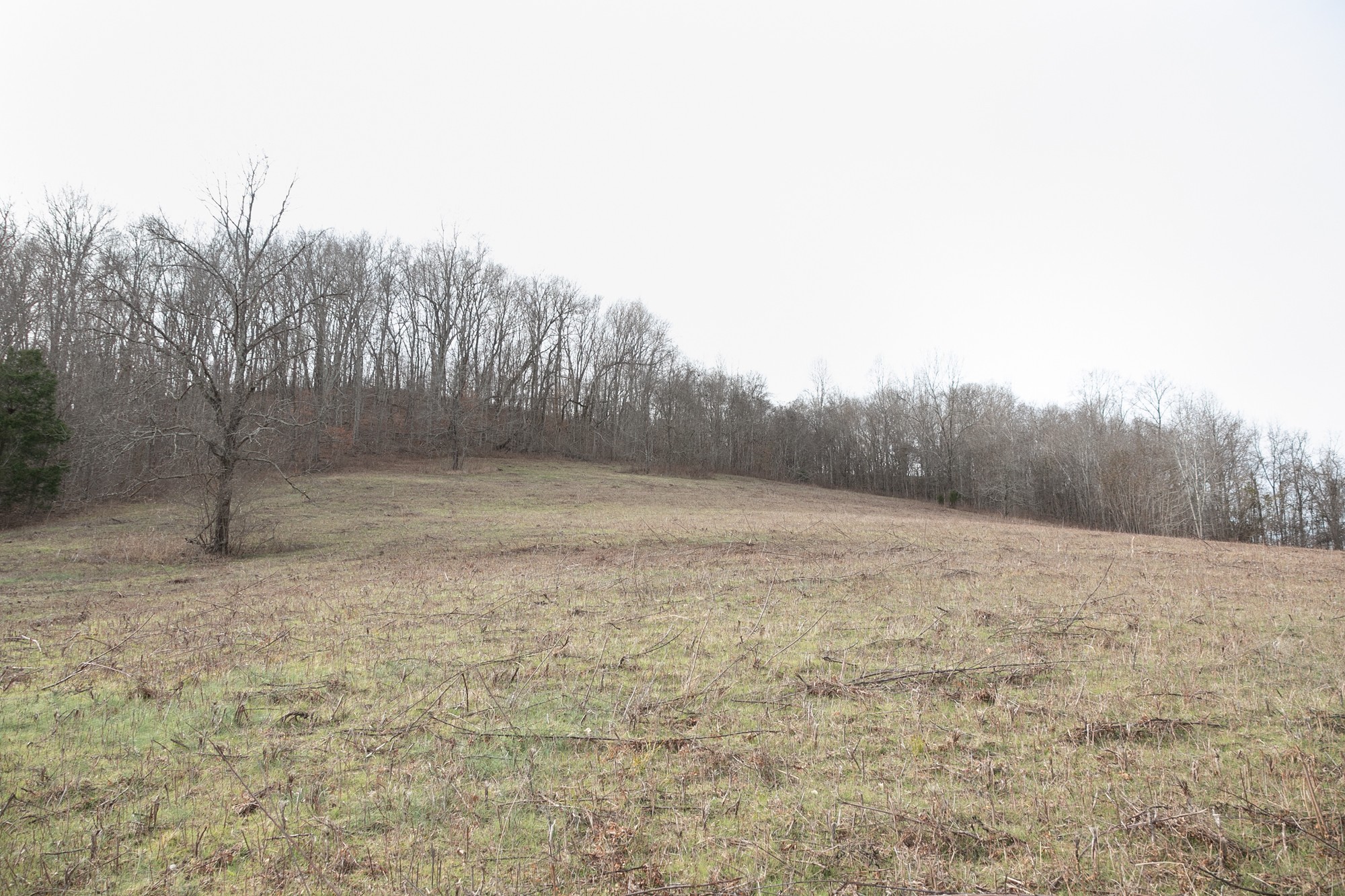 719 Minnow Branch Road Pulaski, TN 38478 - Photo 45 of 49 Gallery Image 45
