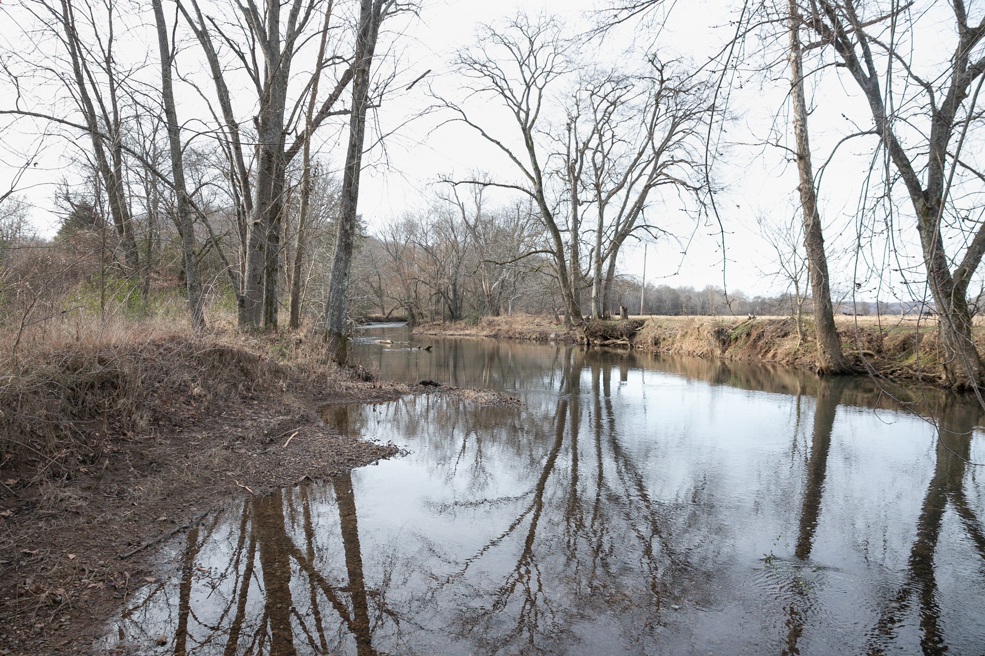 719 Minnow Branch Road Pulaski, TN 38478 - Photo 48 of 49 Gallery Image 48