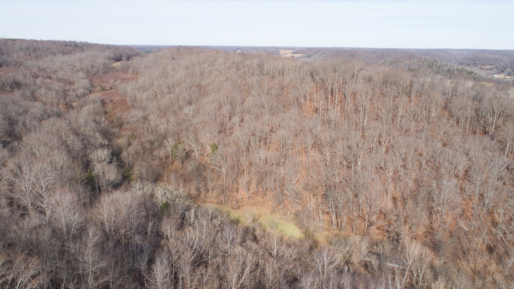 719 Minnow Branch Road Pulaski, TN 38478 - Photo 5 of 49 Gallery Image 5
