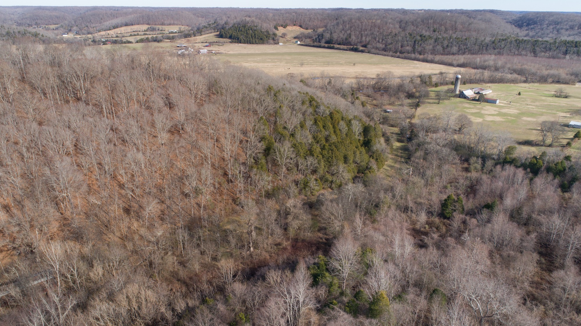 719 Minnow Branch Road Pulaski, TN 38478 - Photo 6 of 49 Gallery Image 6