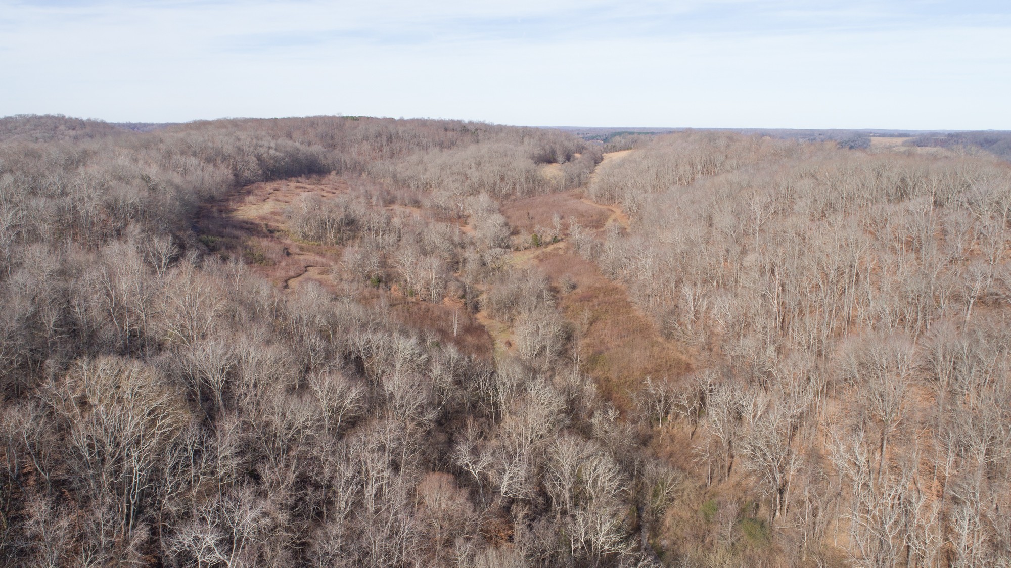 719 Minnow Branch Road Pulaski, TN 38478 - Photo 7 of 49 Gallery Image 7