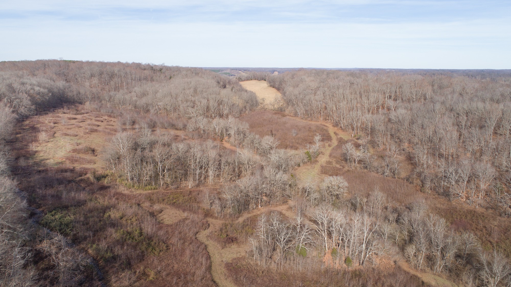 719 Minnow Branch Road Pulaski, TN 38478 - Photo 8 of 49 Gallery Image 8