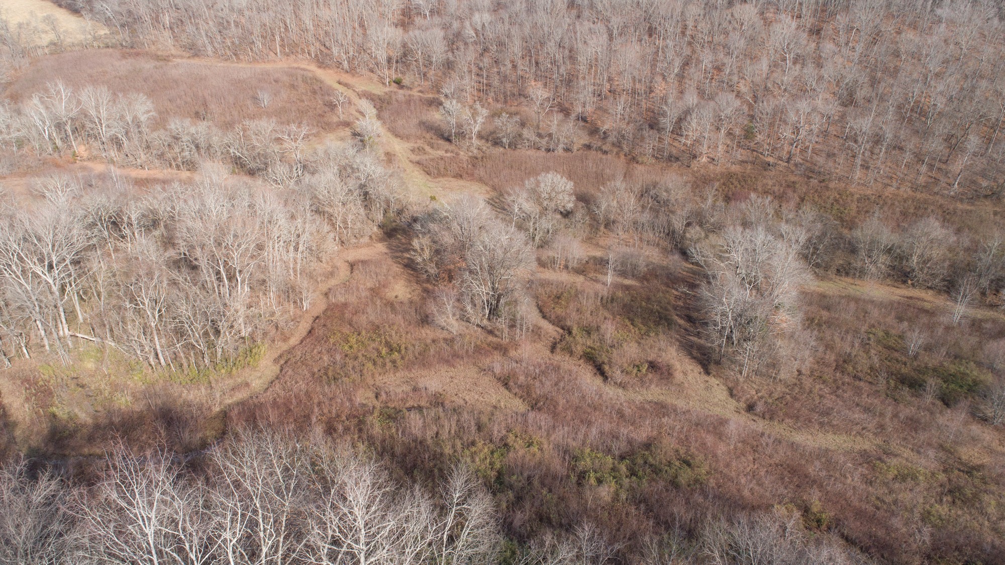 719 Minnow Branch Road Pulaski, TN 38478 - Photo 10 of 49 Gallery Image 10