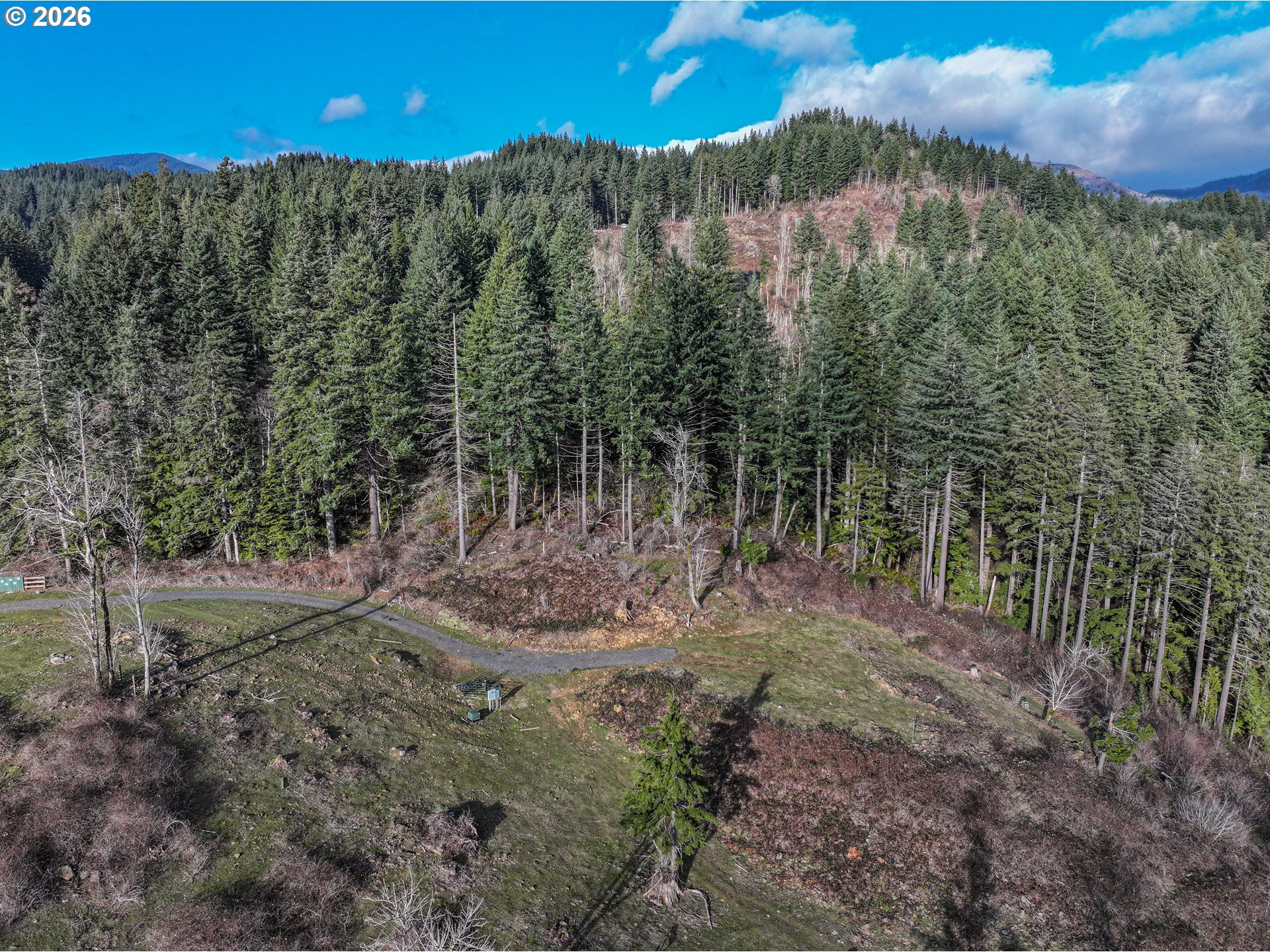 562 Woodard Creek Road Stevenson, WA 98648 - Photo 18 of 33