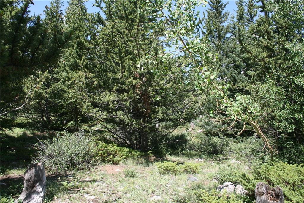 Tbd Quartzville Road Alma, CO 80420 - Photo 12 of 13 Gallery Image 12