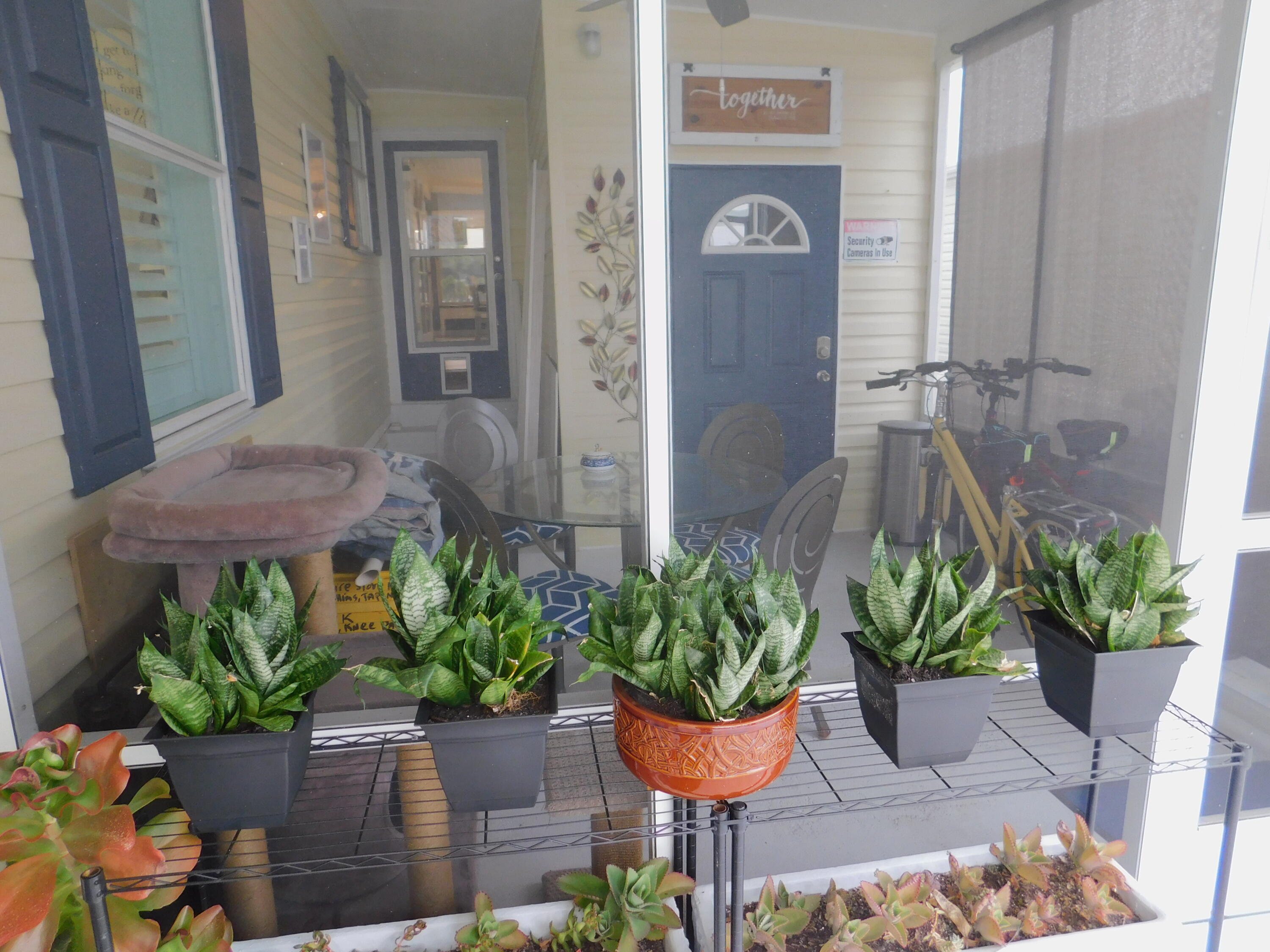 529 Hemingway Terrace, Unit 8 Fort Pierce, FL 34982 - Photo 2 of 24 a front view of a house with potted plants