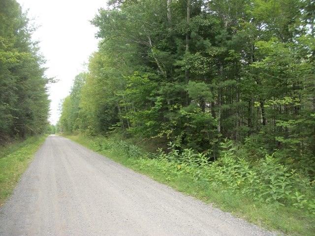 Lot P/o Railroad Bed Road Buckfield, ME 04220 - Photo 5 of 8 Photo